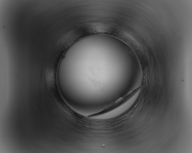 X0000095130410200712141200