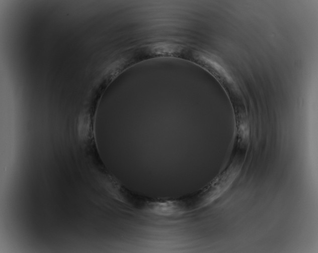 X0000095130411200712141200