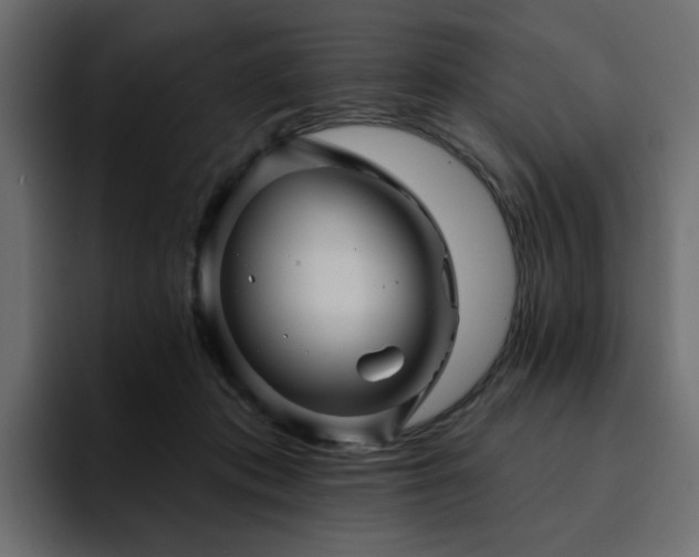 X0000095130413200712141200