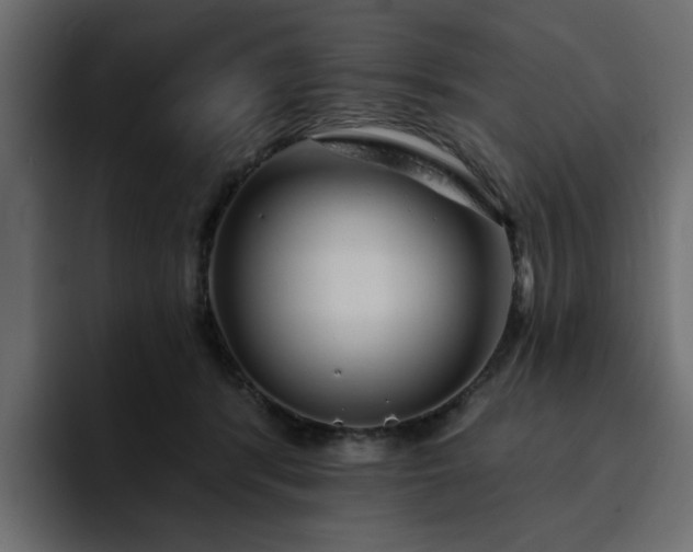 X0000095130416200712141200