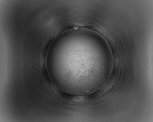 X0000095130418200712141200