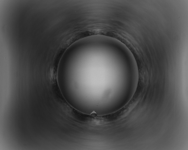 X0000095130420200712141200