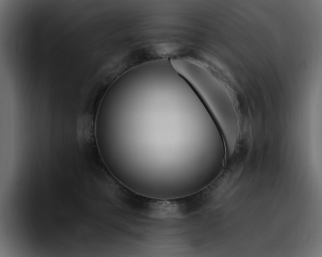 X0000095130421200712141200