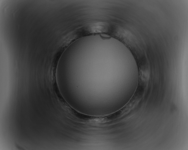 X0000095130422200712141200