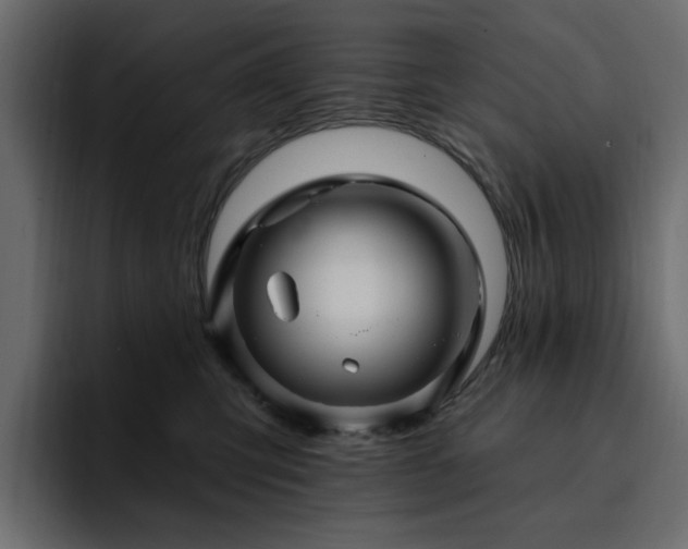 X0000095130423200712141200