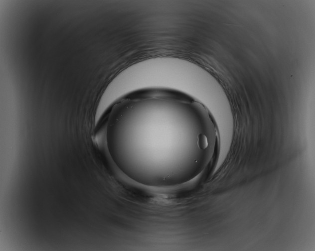 X0000095130425200712141200