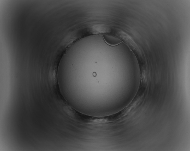 X0000095130426200712141200