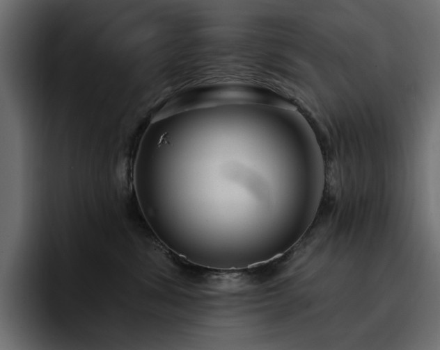 X0000095130428200712141200