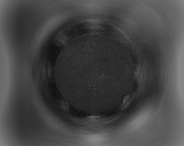 X0000095130430200712141200