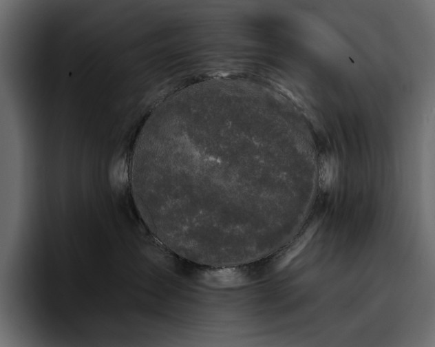 X0000095130431200712141200