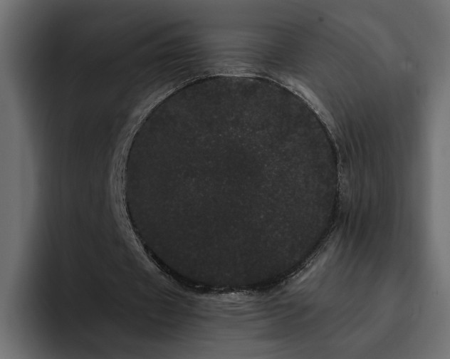 X0000095130433200712141159