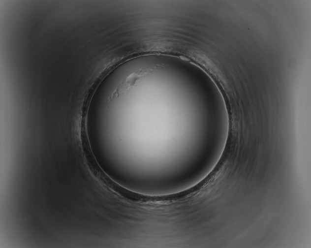 X0000095130434200712141159