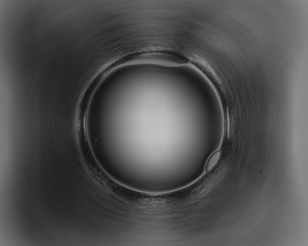 X0000095130435200712141159