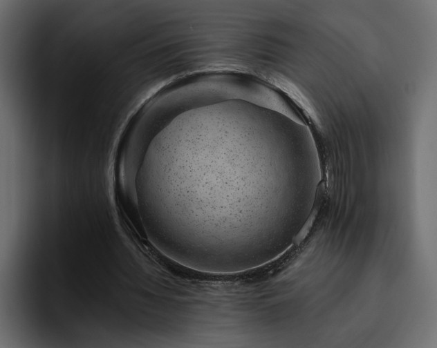 X0000095130436200712141159