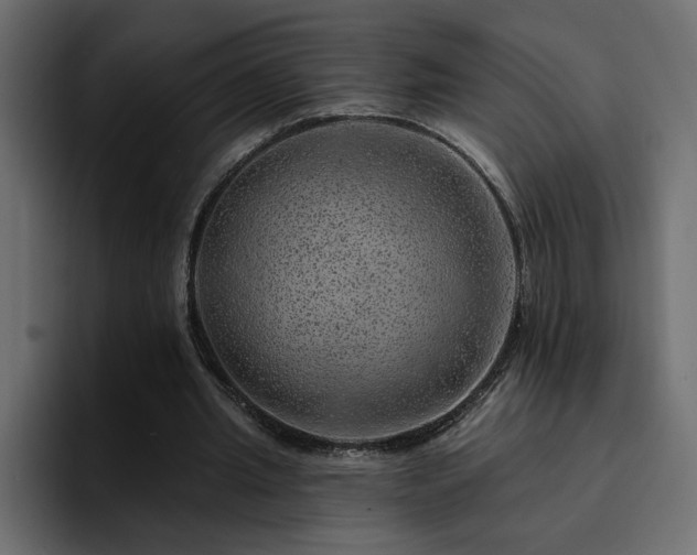 X0000095130437200712141159