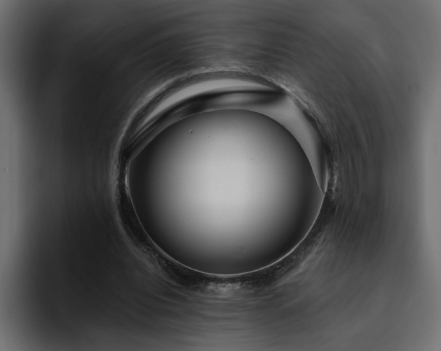 X0000095130440200712141159