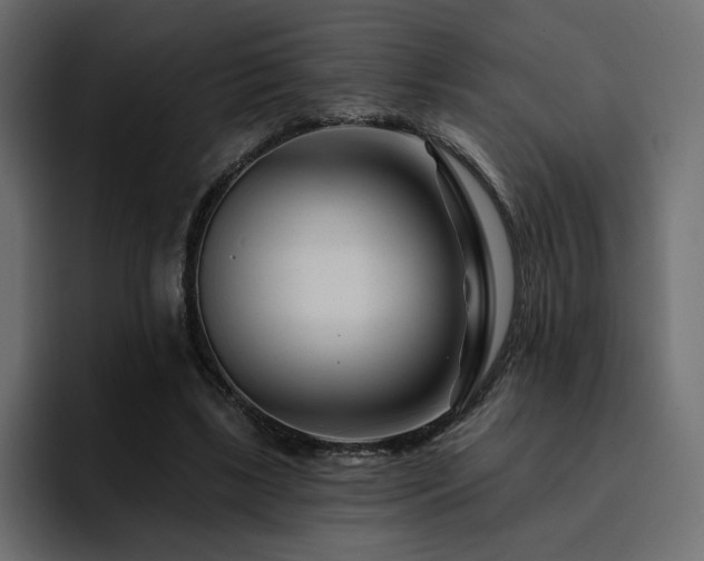 X0000095130443200712141159