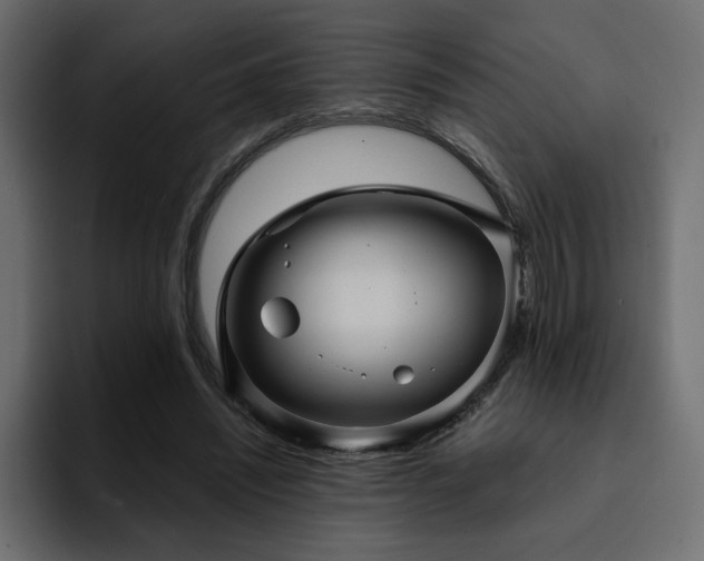 X0000095130444200712141200