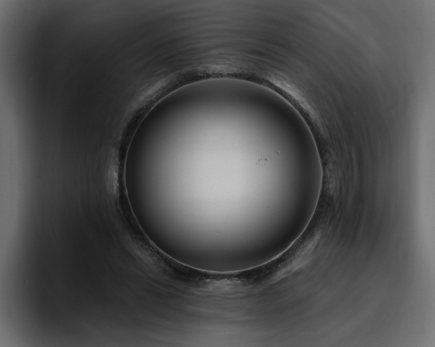 X0000095130446200712141200