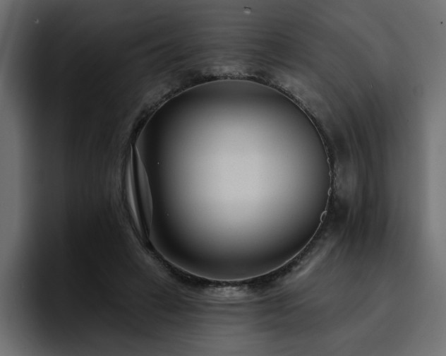 X0000095130449200712141200