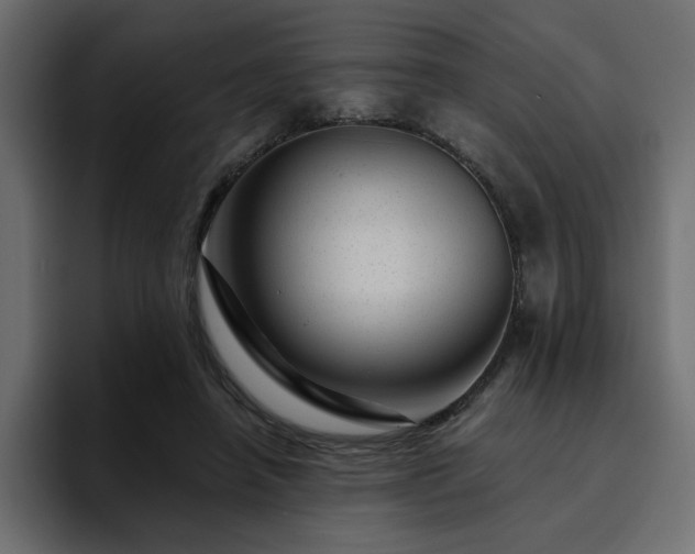 X0000095130450200712141200