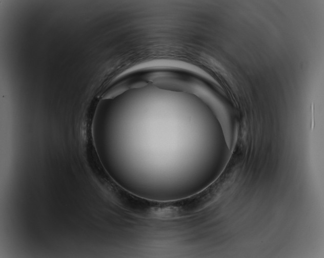 X0000095130452200712141200