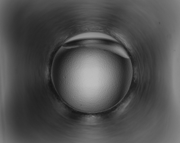 X0000095130453200712141200