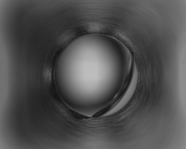 X0000095130454200712141200