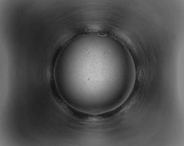 X0000095130455200712141200