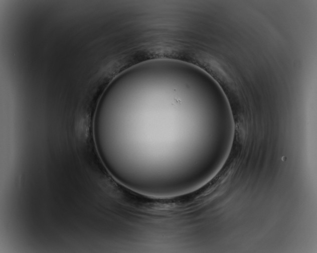 X0000095130458200712141200