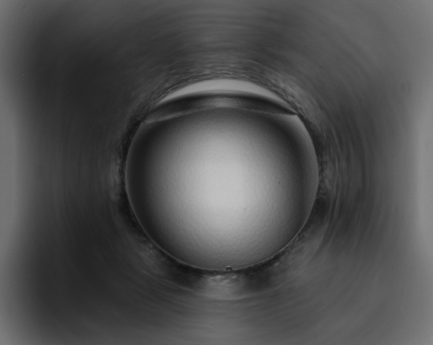 X0000095130461200712141200