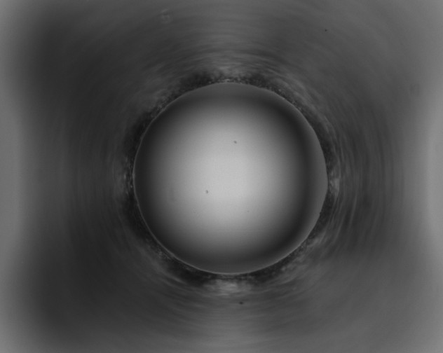 X0000095130464200712141200