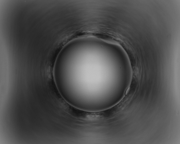 X0000095130470200712141200