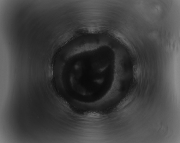 X0000095130471200712141200