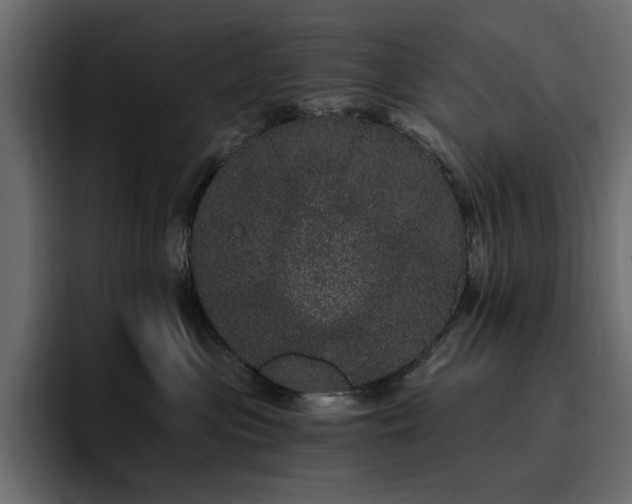 X0000095130477200712141200