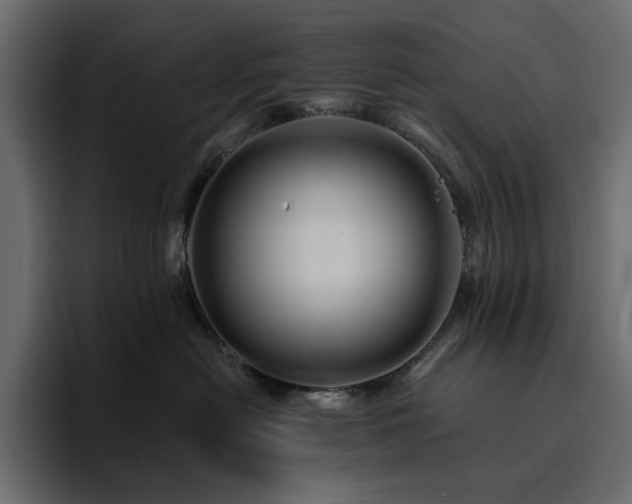 X0000095130478200712141200