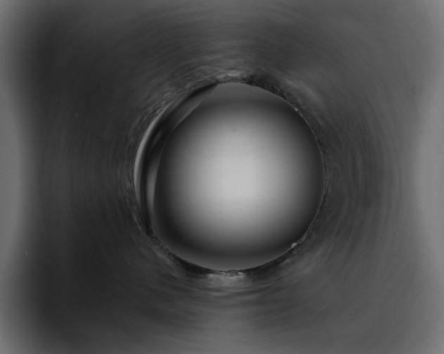 X0000095130480200712141200