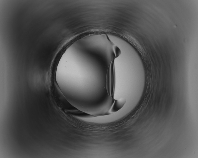 X0000095130484200712141159