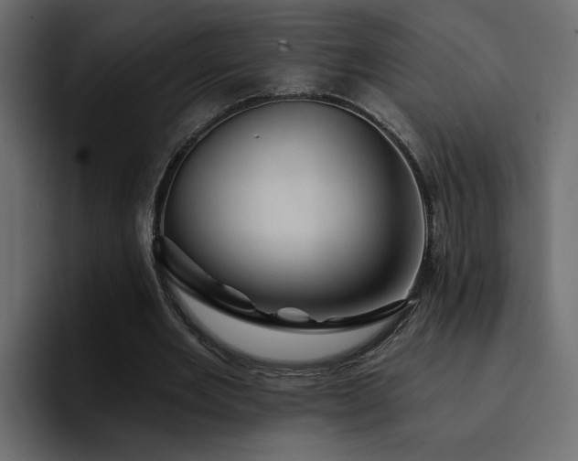 X0000095130485200712141159