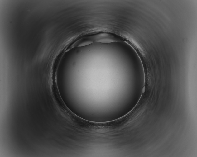 X0000095130486200712141159