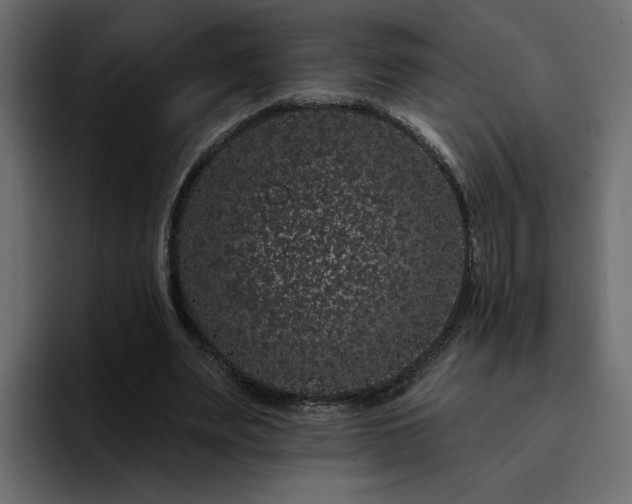 X0000095130487200712141159