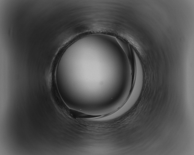 X0000095130488200712141159