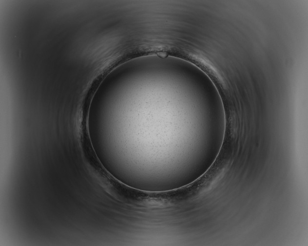 X0000095130490200712141159