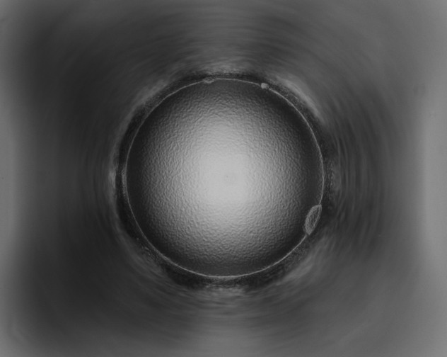 X0000095130491200712141159