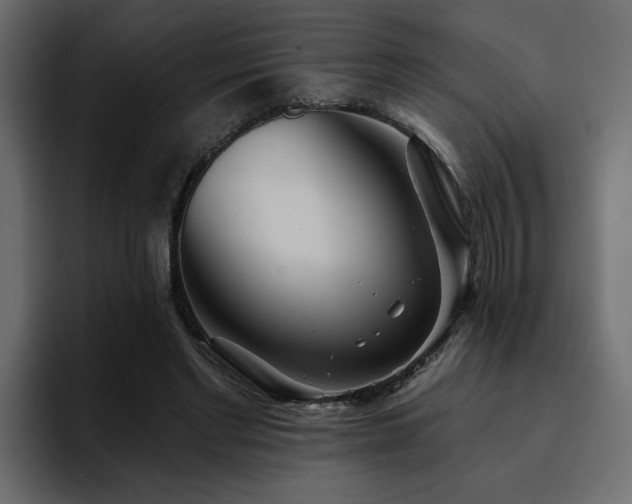 X0000095130493200712141159