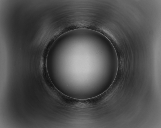 X0000095130494200712141159