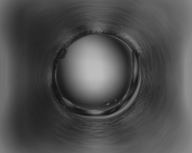 X0000095130496200712141159