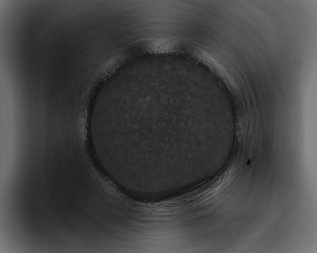 X0000095130497200712141159