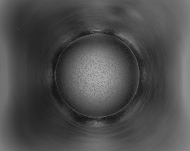 X0000095130498200712141159