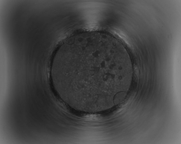 X0000095130499200712141159